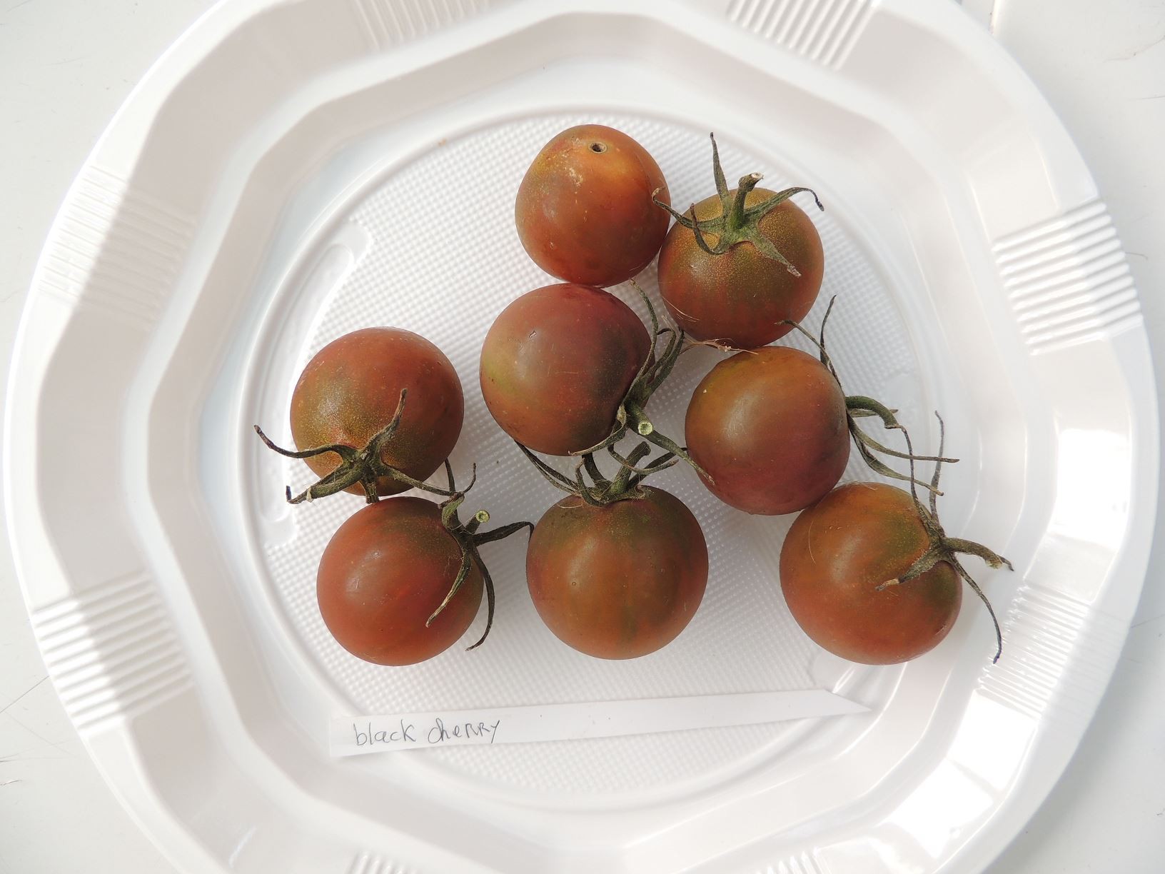 Tomates anciennes : tout sur les anciennes varietes de tomate I Régal